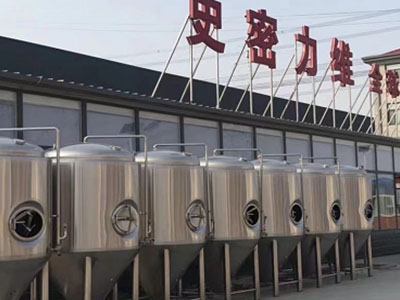 三明精酿啤酒设备厂—如何判断精酿啤酒设备的密封件需要更换？